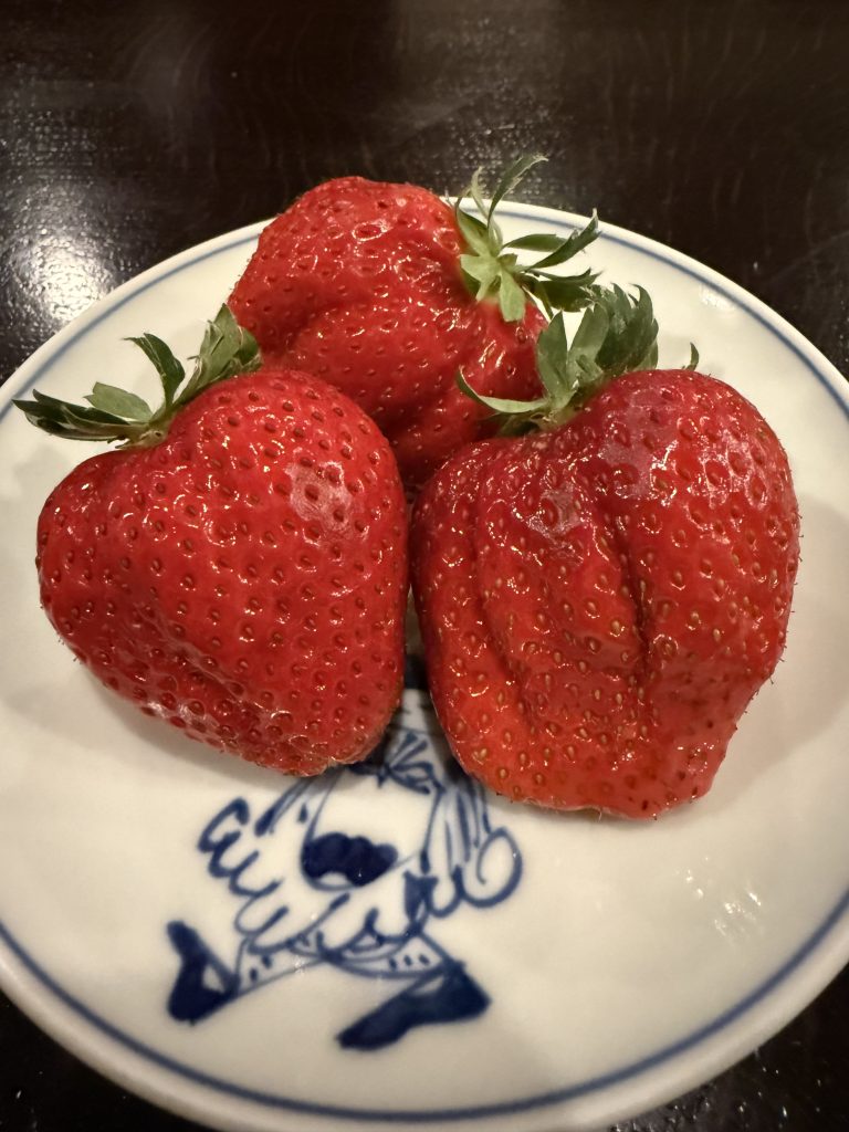 副腎疲労という「サイン」  ― 厄年のように身体を見直すきっかけとして ―