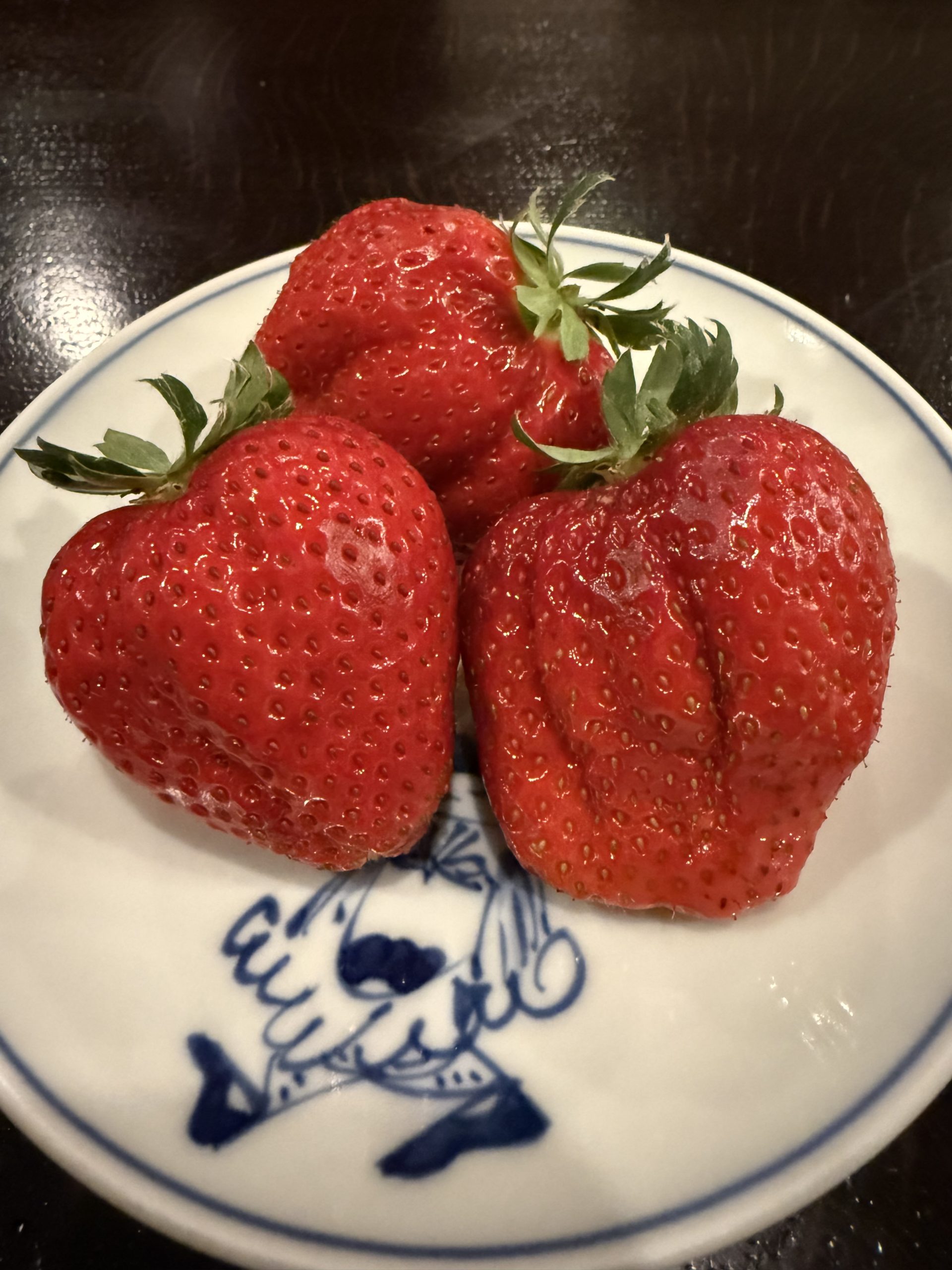 副腎疲労という「サイン」  ― 厄年のように身体を見直すきっかけとして ―