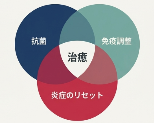 慢性ライムをどう見つけるか？