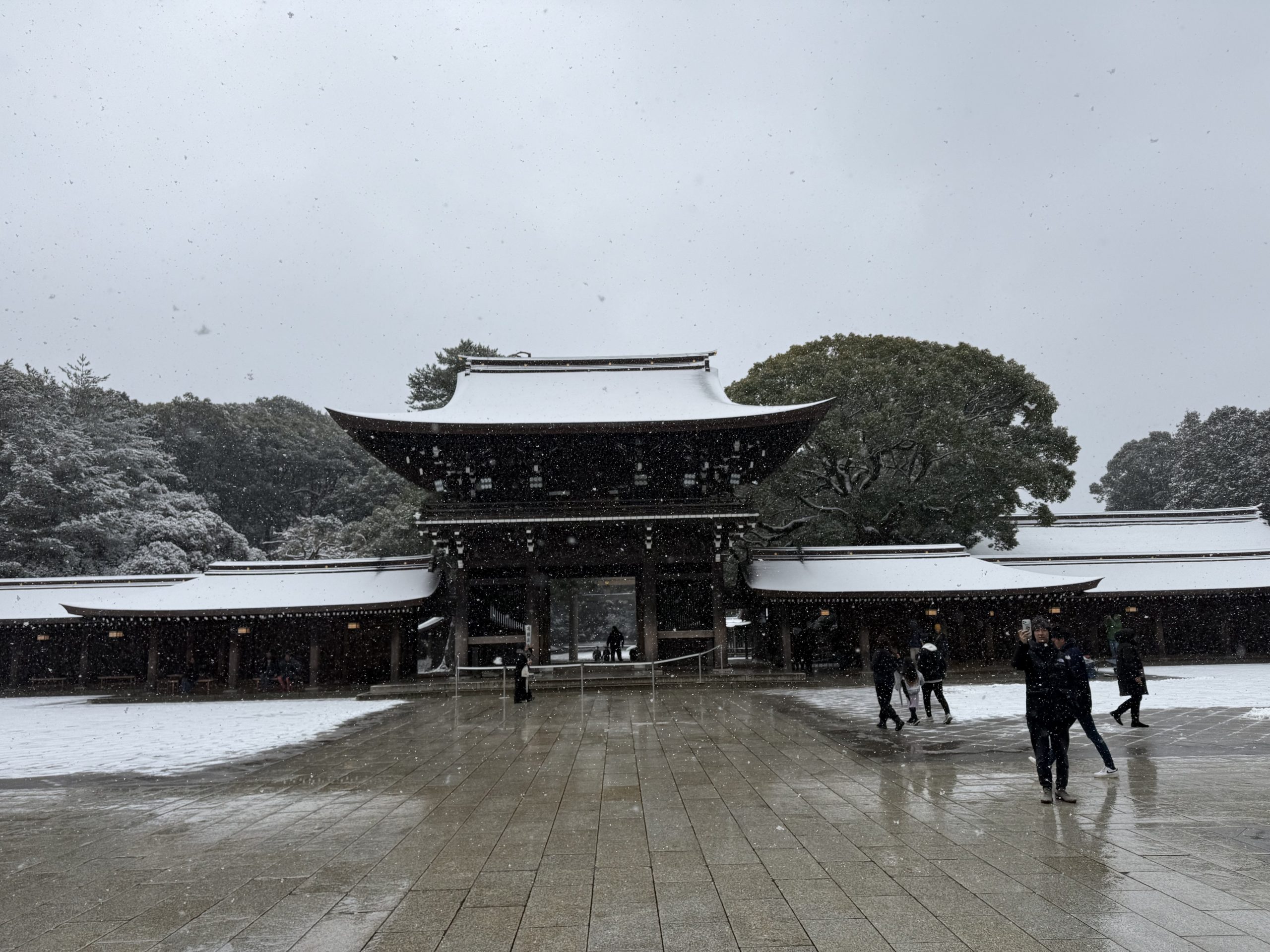 ヒスタミンタイプとは  真面目な人ほど疲れやすい理由