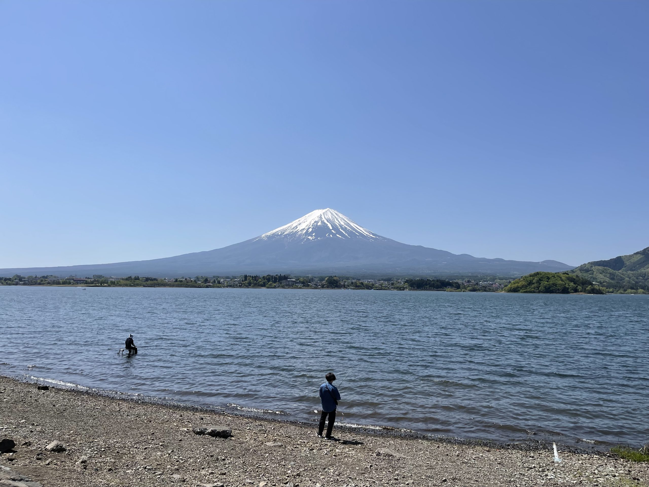 解毒を理解する  「デトックス＝汗をかく」だけではありません